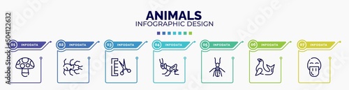 infographic for animals concept. vector infographic template with icons and 7 option or steps. included mushroom, tarantula, groomer, grasshopper, termite, seal, platypus editable vector.