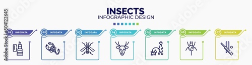 infographic for insects concept. vector infographic template with icons and 7 option or steps. included balm, scorpion, wasp, deer, walking the dog, spider, cricket editable vector.