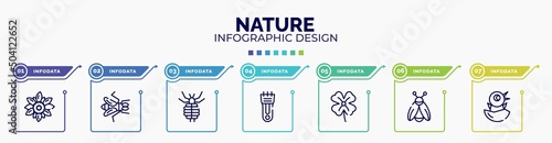infographic for nature concept. vector infographic template with icons and 7 option or steps. included sunflower, gadfly, louse, hair clipper, clover, firefly, chick editable vector.