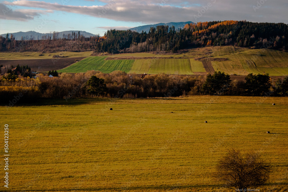 Obraz premium autumn in the mountains