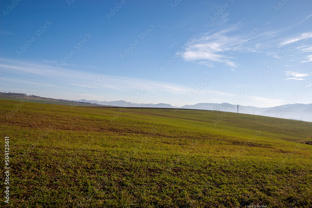 field and blue sky