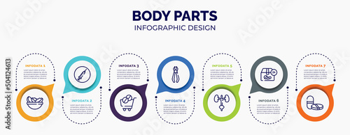 infographic for body parts concept. vector infographic template with icons and 7 option or steps. included vegetarian diet, drug abuse, phareutical delivery, forceps of dentist tools, excretory
