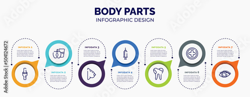 infographic for body parts concept. vector infographic template with icons and 7 option or steps. included ball of the knee, diet for health, bosom, anesthesia dentist injection diagonal, dental