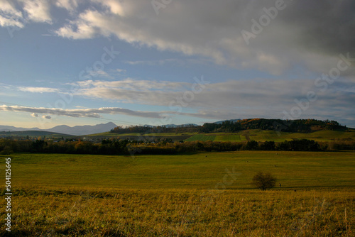 landscape in the mountains