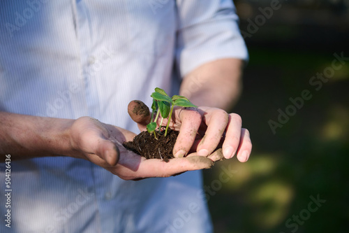 World Earth, Environment Day concept. Farmer hands holding black soil with young plant, grown in greenhouse for further transplanting the sprout into open ground