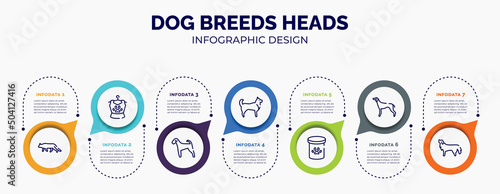 infographic for dog breeds heads concept. vector infographic template with icons and 7 option or steps. included snowshoe cat, pet clo, airedale, husky, pet food, greyhound, bernese mountain dog for