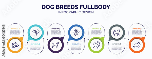 infographic for dog breeds fullbody concept. vector infographic template with icons and 7 option or steps. included dogs, null, beagle, sawfly, pomeranian, malamute, sheltie for abstract background.