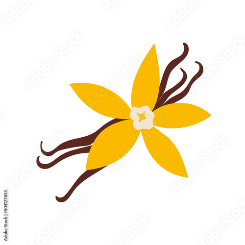 Vanilla flower with dried vanilla sticks, cartoon style. Trendy modern vector illustration isolated on white background