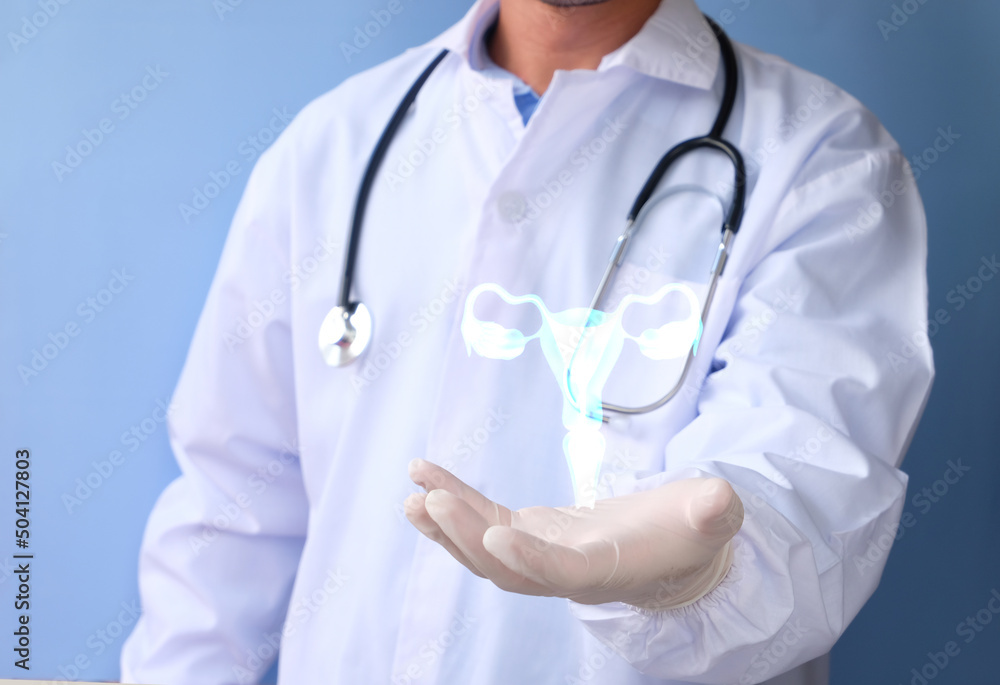 Doctor and hologram of the female reproductive organ, the uterus. Women's consultation, ultrasonography, gynecology, obstetrics, pregnancy, and contemporary medicine Doctor and hologram of the female reproductive organ, the uterus. Women's consultation, ultrasonography, gynecology, obstetrics, pregnancy, and contemporary medicine