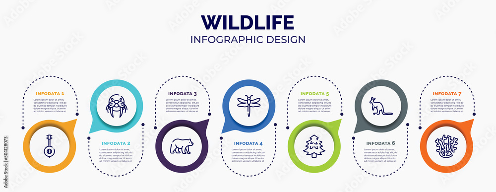 Vetor de infographic for wildlife concept. vector infographic template