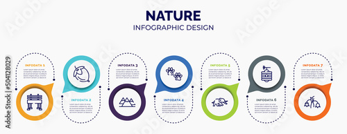 infographic for nature concept. vector infographic template with icons and 7 option or steps. included bench, hazelnut, mountains, pawprints, elephants, beehive, harebell for abstract background.