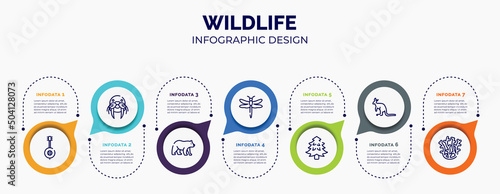 infographic for wildlife concept. vector infographic template with icons and 7 option or steps. included banjo, walrus, carnivore, dragonfly, pine tree, kangaroo, coral for abstract background.