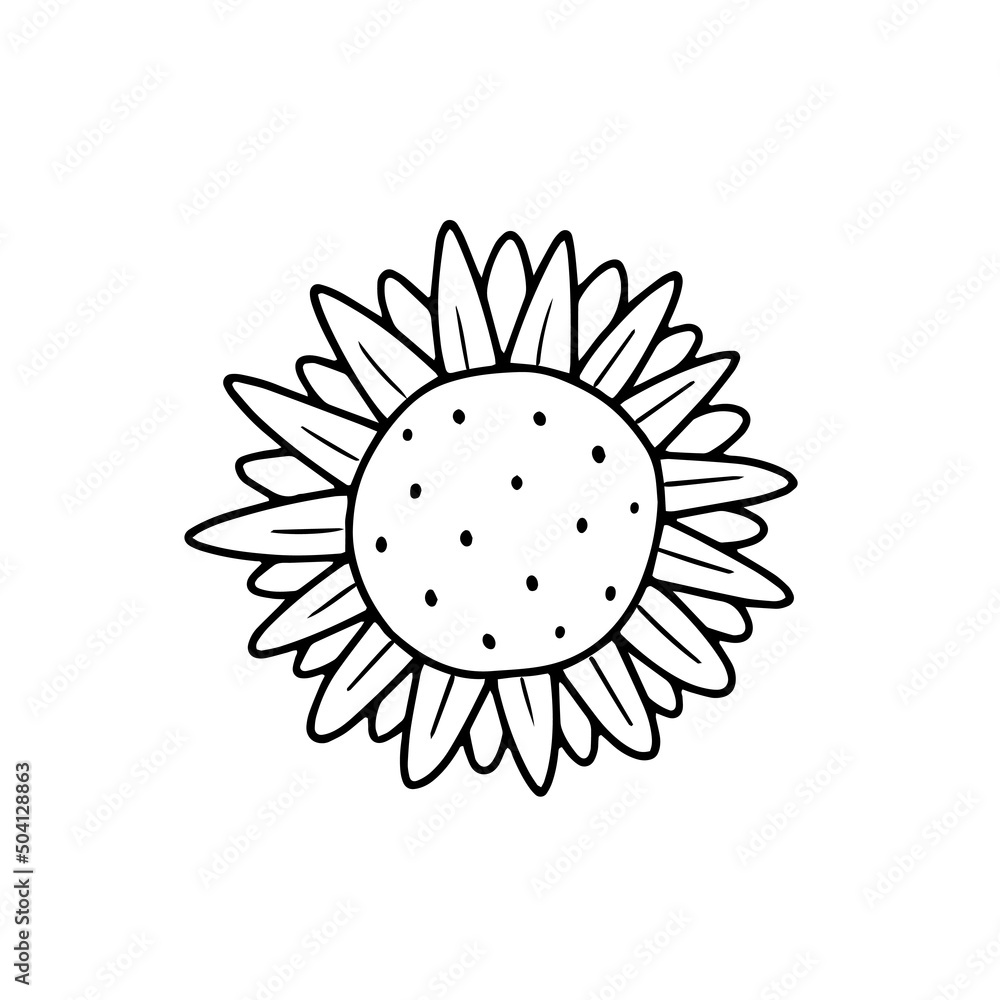 Sunflower in a simple doodle style. Vector isolated floral illustration. Sunflower in a simple doodle style. Vector isolated floral illustration.
