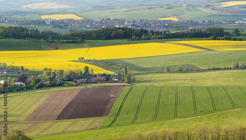 Obraz premium Field around the farm. Kunovice. In the background Kelc. East Moravia. Europe.
