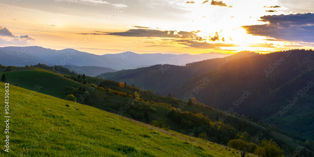 rural landscape of carpathian mountains. beautiful green background at sunset in spring. trees on the grassy rolling hills and dramatic clouds on the sky in evening light