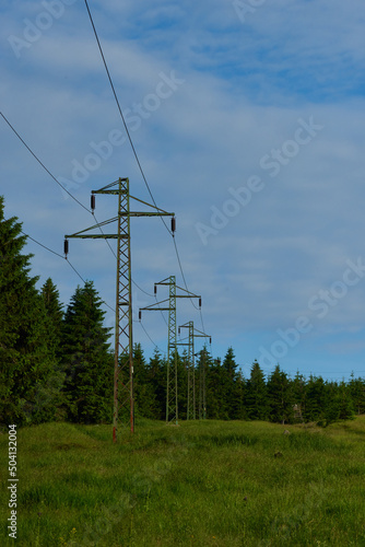 Stromleitung durch ein Waldgebiet 