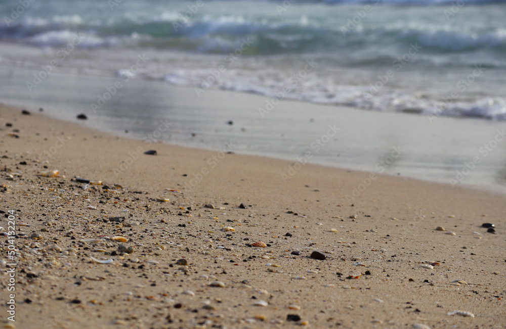 Close-up of a sandy beach in Dubai, partially out of focus Close-up of a sandy beach in Dubai, partially out of focus
