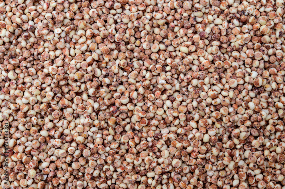 Sorghum top view background. Grain background. Sorghum top view background. Grain background.