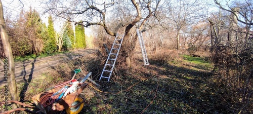 wiosenne przycinanie drzew w ogrodzie © Krzysztof