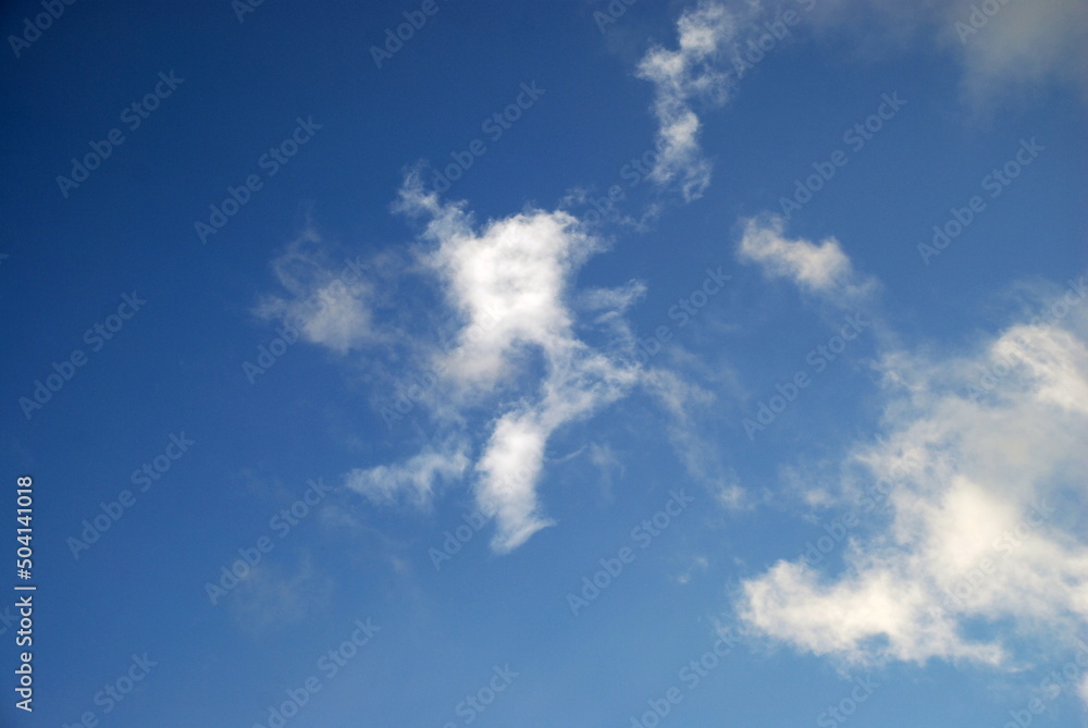 White clouds float across the sky. Multilevel cumulus white clouds float across the light blue sky. Clouds of different shapes and sizes are lit by the sun and look fluffy.