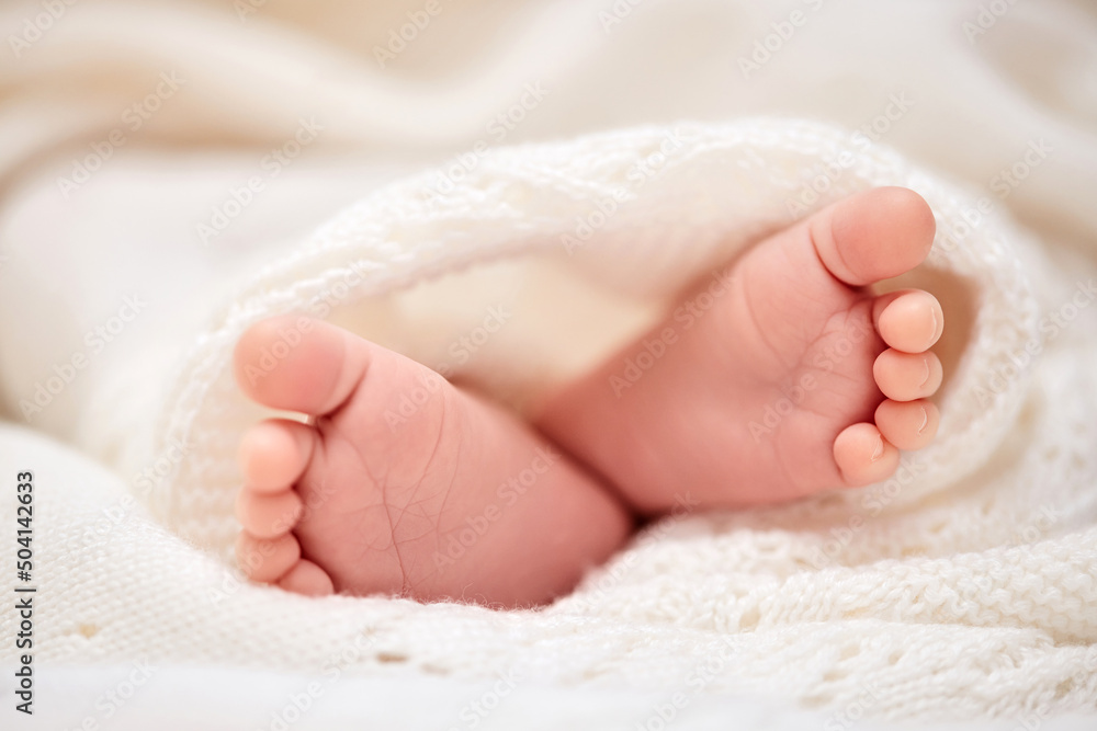 tiny newborn baby feet on white blanket tiny newborn baby feet on white blanket