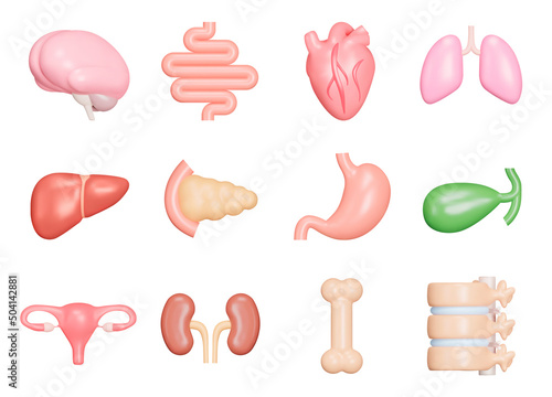 Human internal organs icon set. Anatomy. Nervous, circulatory, digestive, excretory, urinary,and bone systems. Isolated 3d icons, objects on a transparent background