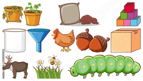 Cute animals and other items