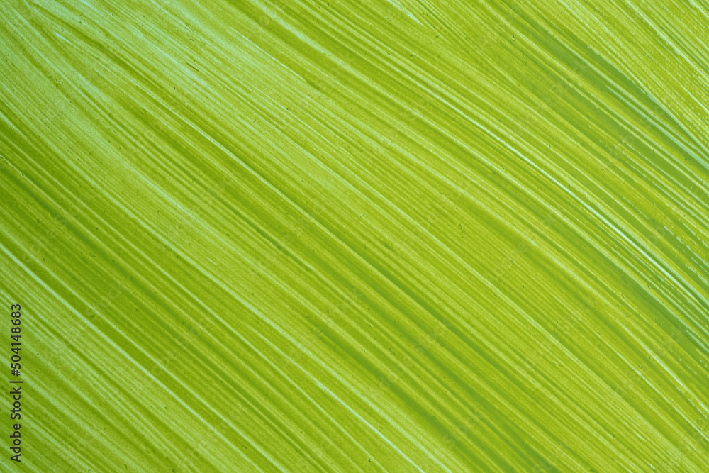 Watercolor green, olive backdrop with striped pattern. Copy space for text, design art work or product. Watercolor brush strokes on canvas. Green watercolor stripes Watercolor green, olive backdrop with striped pattern. Copy space for text, design art work or product. Watercolor brush strokes on canvas. Green watercolor stripes