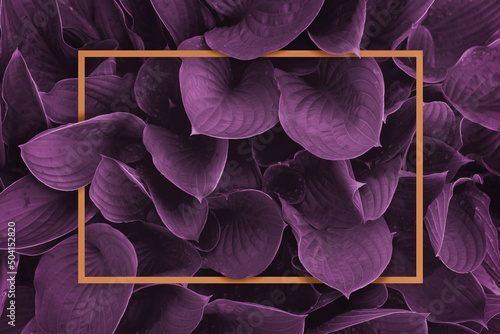 Creative leaves background. Minimal layout. Trend colors: calming coral and velvet violet. Paper frame copy space.