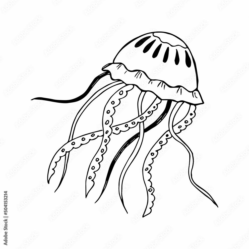 Hand drawn jellyfish in doodle or sketch style, single element in black and white color