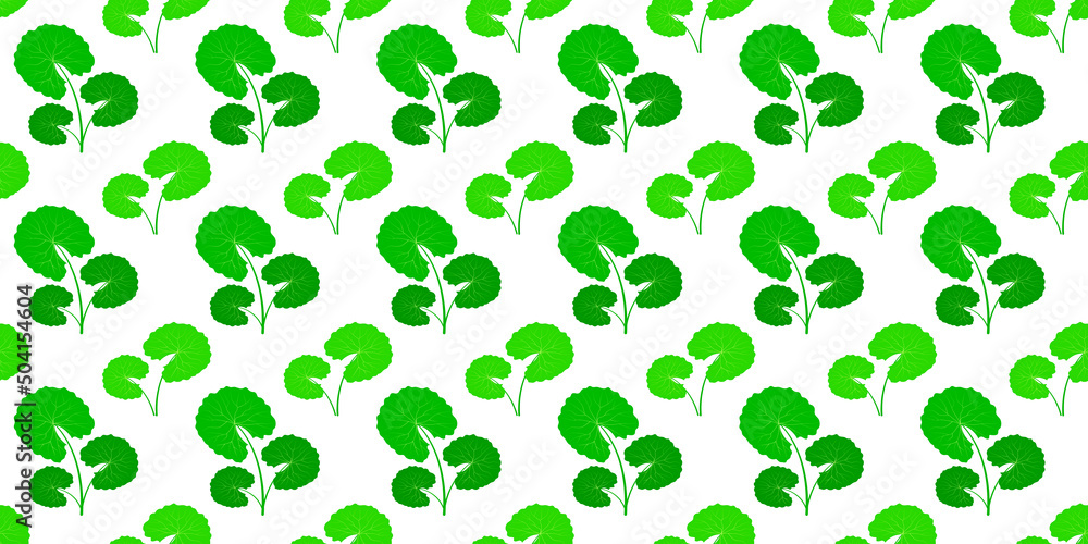 Fresh green leaf seamless pattern. Centella asiatica vector illustration. Gotu kola repeated texture. Asian pennywort endless background for organic cosmetics, natural products, food, eco design. Fresh green leaf seamless pattern. Centella asiatica vector illustration. Gotu kola repeated texture. Asian pennywort endless background for organic cosmetics, natural products, food, eco design.