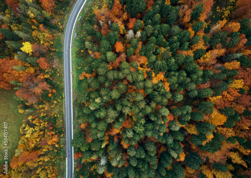 Drone top view of colorful foggy landscape of autumn woods with line country road.