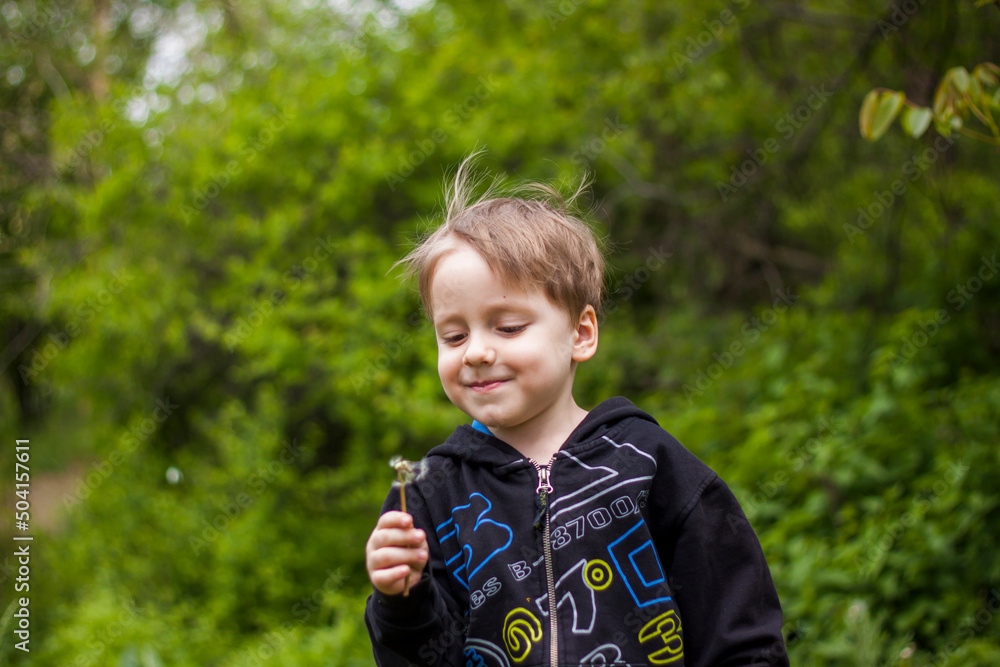 A happy boy on a spring day in the garden blows on white dandelions, fluff flies off him. The concept of outdoor recreation in childhood. Portrait of a cute boy. A happy boy on a spring day in the garden blows on white dandelions, fluff flies off him. The concept of outdoor recreation in childhood. Portrait of a cute boy.
