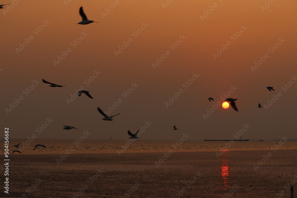 Obraz premium Sunset
