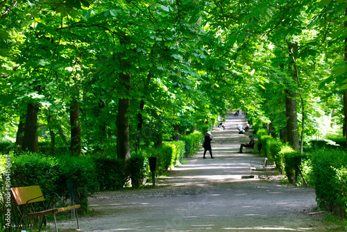 Road, path in summer, spring garden, on both sides of a road lined with rows of trees, shrubs with green lush vegetation. Track goes into distance. The famous Retiro Park in Madrid. Benches for relax.
