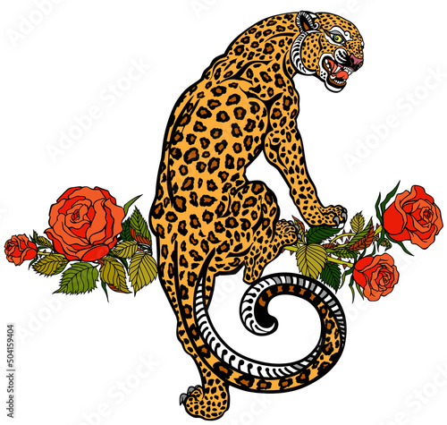 Roaring leopard climbing up and blooming roses. Angry spotted panther. Tattoo style vector illustration isolated on white