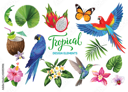 Tropical collection for jungle party: cocktails, exotic flowers, leaves, birds and butterflies. Vector design isolated elements on the white background.