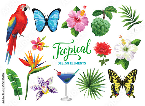 Tropical collection for summer party: cocktails, exotic flowers, leaves, birds and butterflies. Vector design isolated elements on the white background.