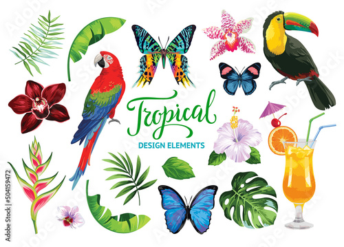 Tropical collection for summer beach party: exotic flowers, butterflies, leaves, parrots and cocktails. Vector design isolated elements on the white background.
