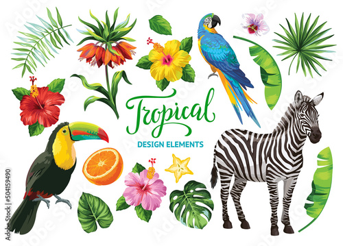 Tropical summer collection: exotic flowers, leaves, birds and animals. Vector isolated elements on the white background.