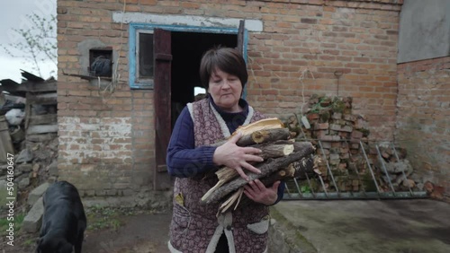 An elderly woman with a handful of firewood comes out of the barn and walks across the yard.A villager in old clothes is doing household chores.The concept of poverty. Rural life. Dog with a stick.