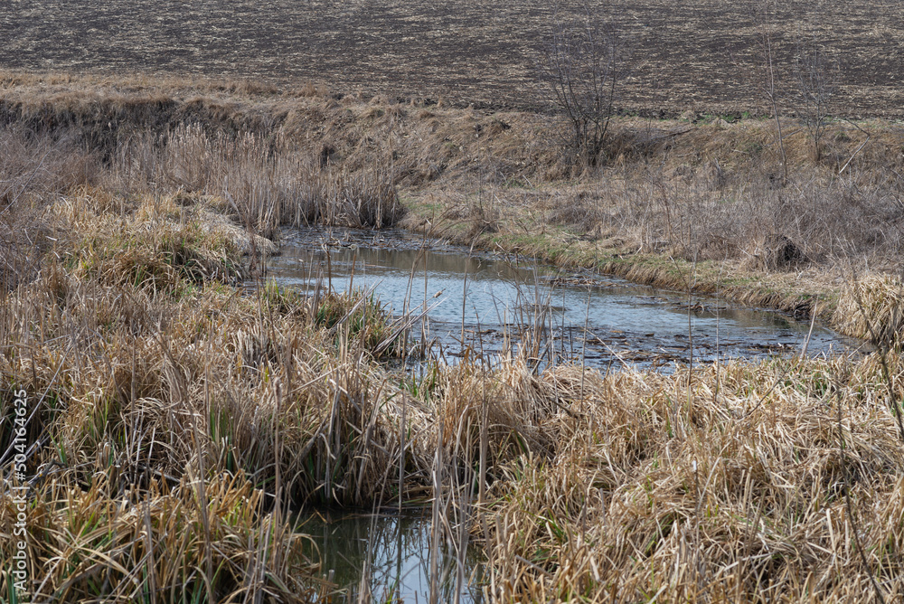 View of swamp. Polluted river, countryside. View of swamp. Polluted river, countryside.