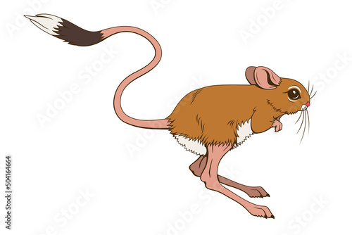 Jumping Jerboa. Vector clipart isolited on white.