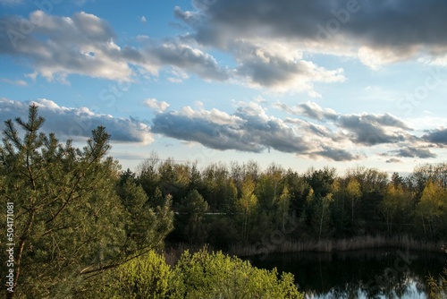 landscape of nature . sky and clouds on the background of the forest