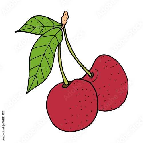 Cherry hand drawn. Illustration doodle eps 10 vector.