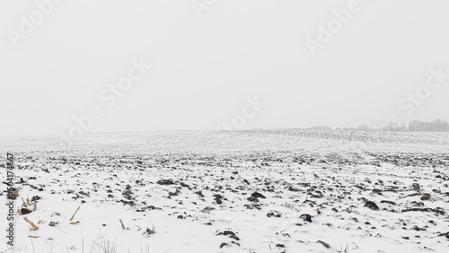 Field under the snow