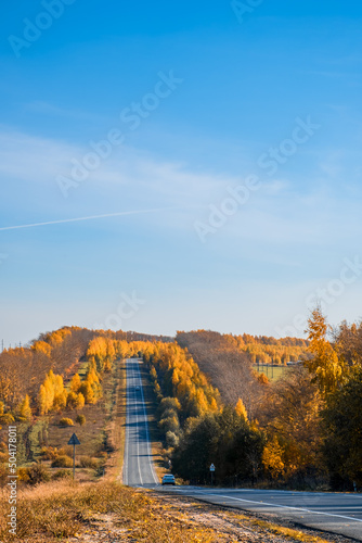 Road through beautiful colored autumn forest and fields.