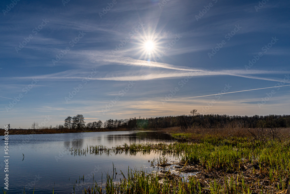 Fototapeta premium Park Narodowy , Ujście Warty, Lubuskie, Gorzów Polska , Łąki , Warta, rzeka, ścieżka dydaktyczna