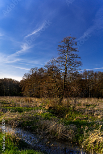 Park Narodowy , Ujście Warty, Lubuskie, Gorzów Polska , Łąki , Warta, rzeka, ścieżka dydaktyczna