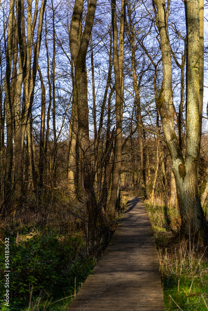 Fototapeta premium Park Narodowy , Ujście Warty, Lubuskie, Gorzów Polska , Łąki , Warta, rzeka, ścieżka dydaktyczna